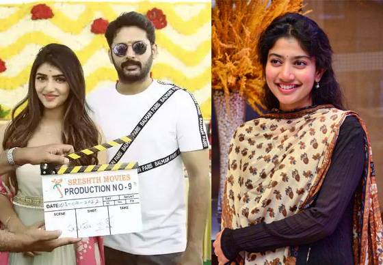 Sai Pallavi and Srileela focus on Bollywood