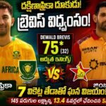 South Africa Vs Zimbabwe Highlights